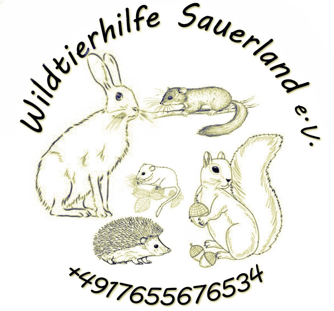 Verein Wildtierhilfe Sauerland – Ein Herz Für Kleine Tiere